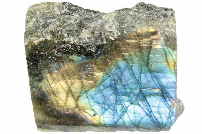 Single Side Polished Labradorite Section - Madagascar #238262